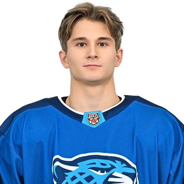 ДАНИИЛ МЕДВЕДЕВ