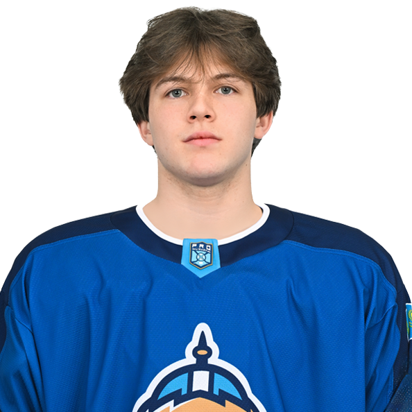 ДАМИР БРИТИКОВ