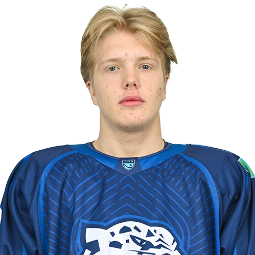 ДАНИИЛ ЛЕСНИЧИЙ