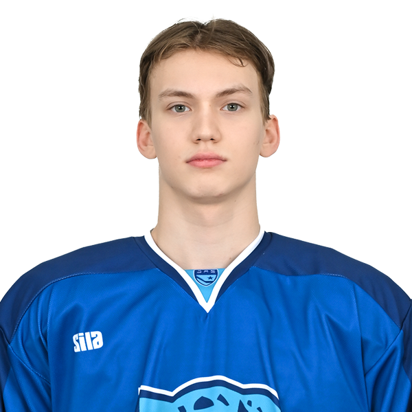 АНДРЕЙ ЦЕРУЛЬНИКОВ