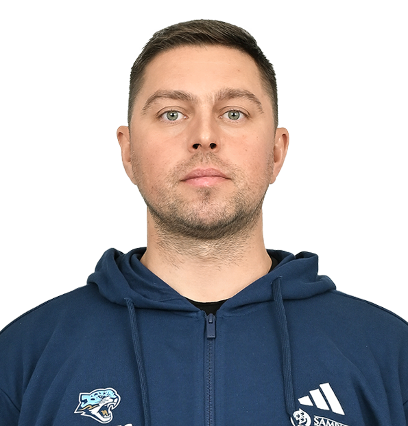 Владислав Сергеевич Колесников