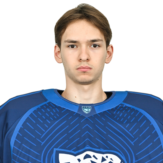 АРТЕМИЙ ПЕРМЯКОВ