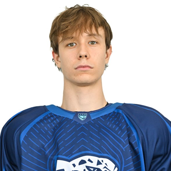 АЛЕКСАНДР ГРАФКИН