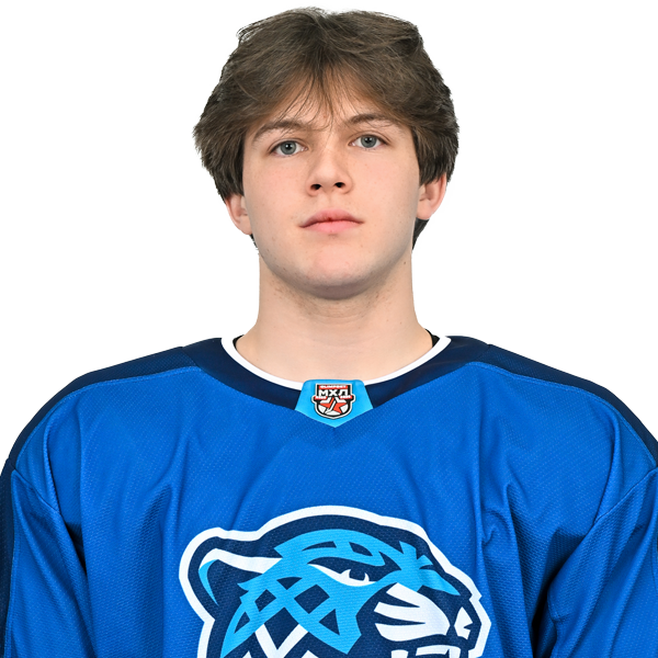 ДАМИР БРИТИКОВ