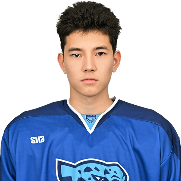 АРСЕН ЕЛДЕС 