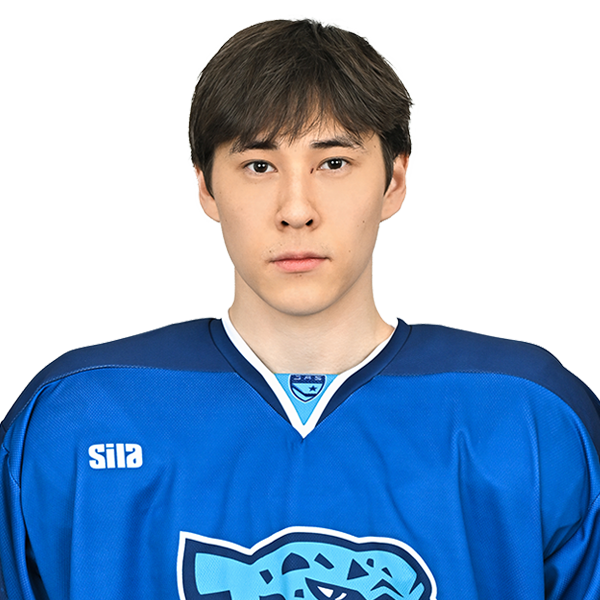 АМИР АЛПКАРИН