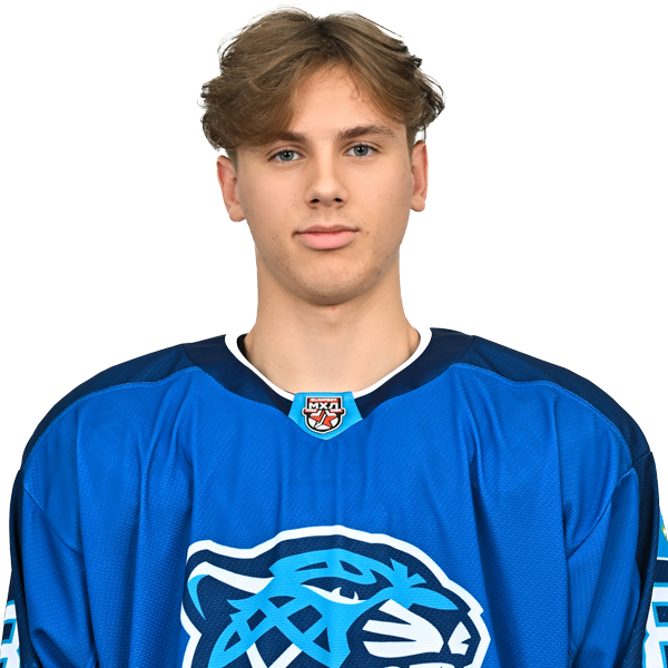 РОМАН ДВУРЕЧЕНСКИЙ