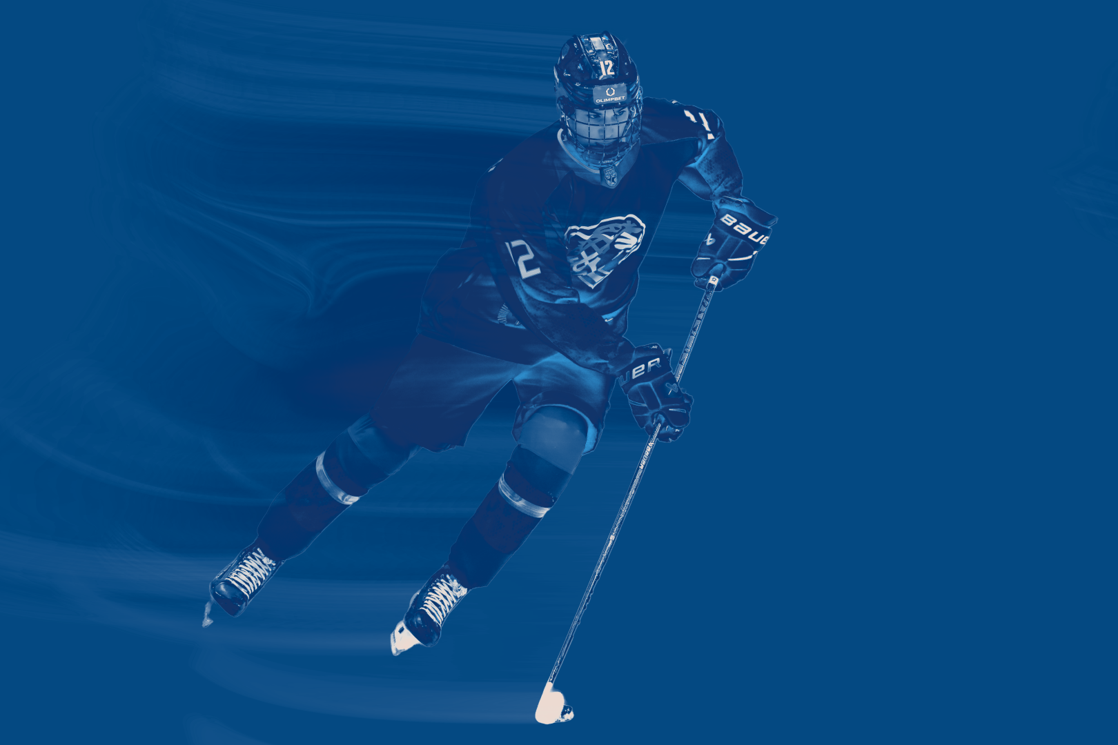 реша задни.png