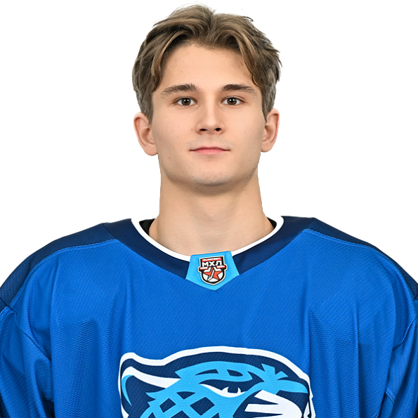 ДАНИИЛ МЕДВЕДЕВ