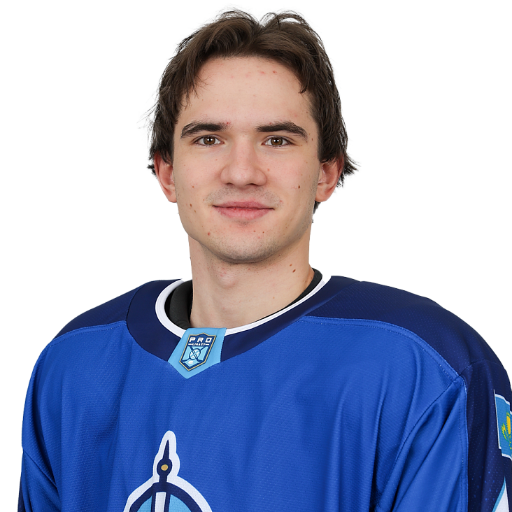 НИКОЛАЙ ШУЛЬГА