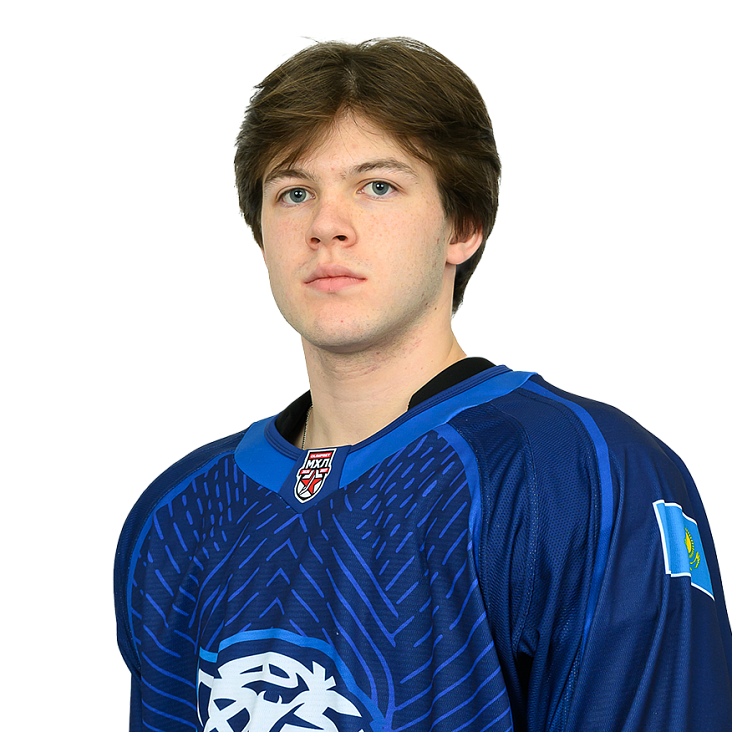 ДАМИР БРИТИКОВ