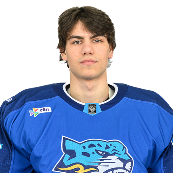 ВЛАДИМИР НИКИТИН