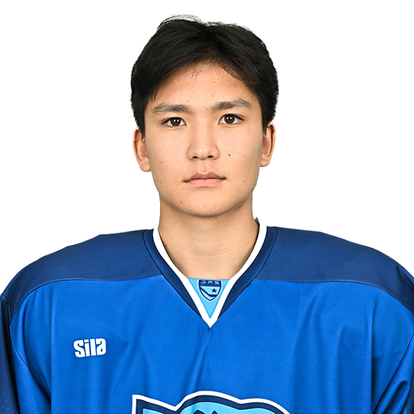 ТЕМІРЛАН АЙБОЛҰЛЫ