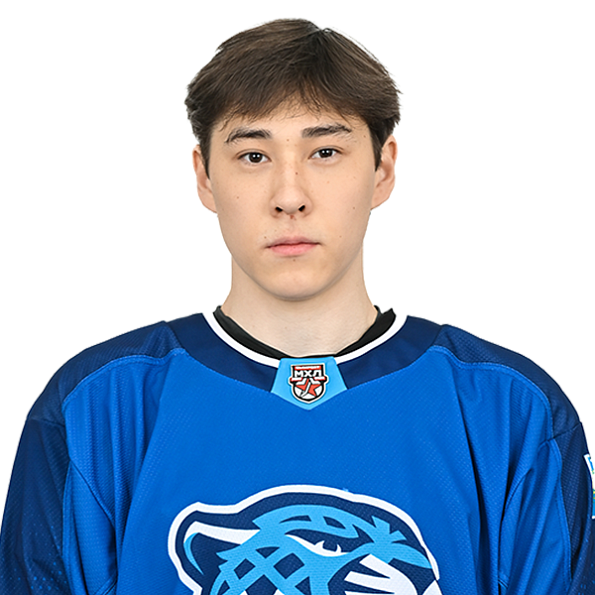 АМИР АЛПКАРИН