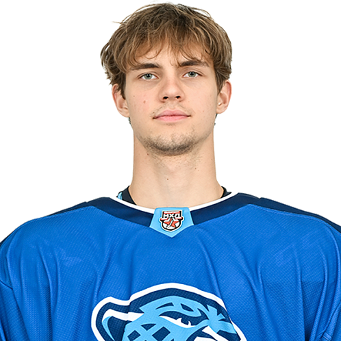 АЛЕКСАНДР ПЕРКИН