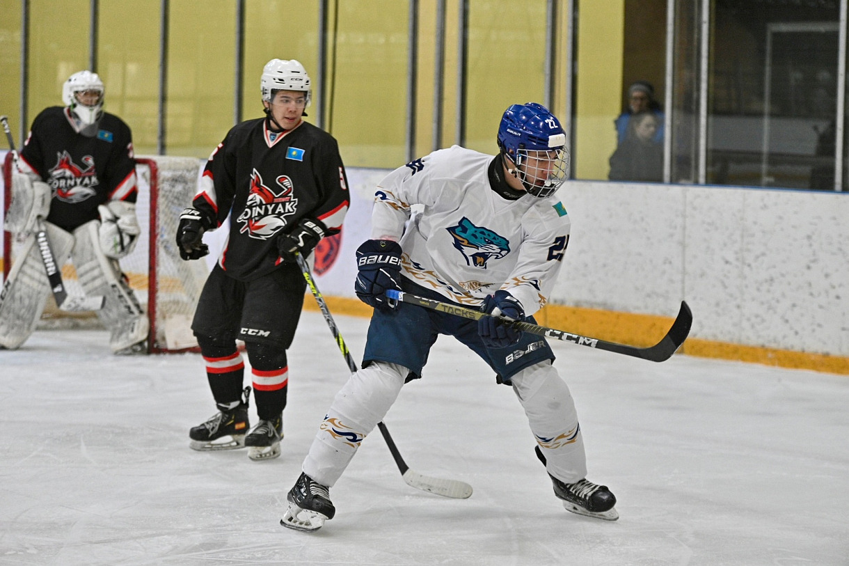 горняк барыс. кыран ястребы мхл казахстан. горняк барыс. горняк барыс. горняк барыс.