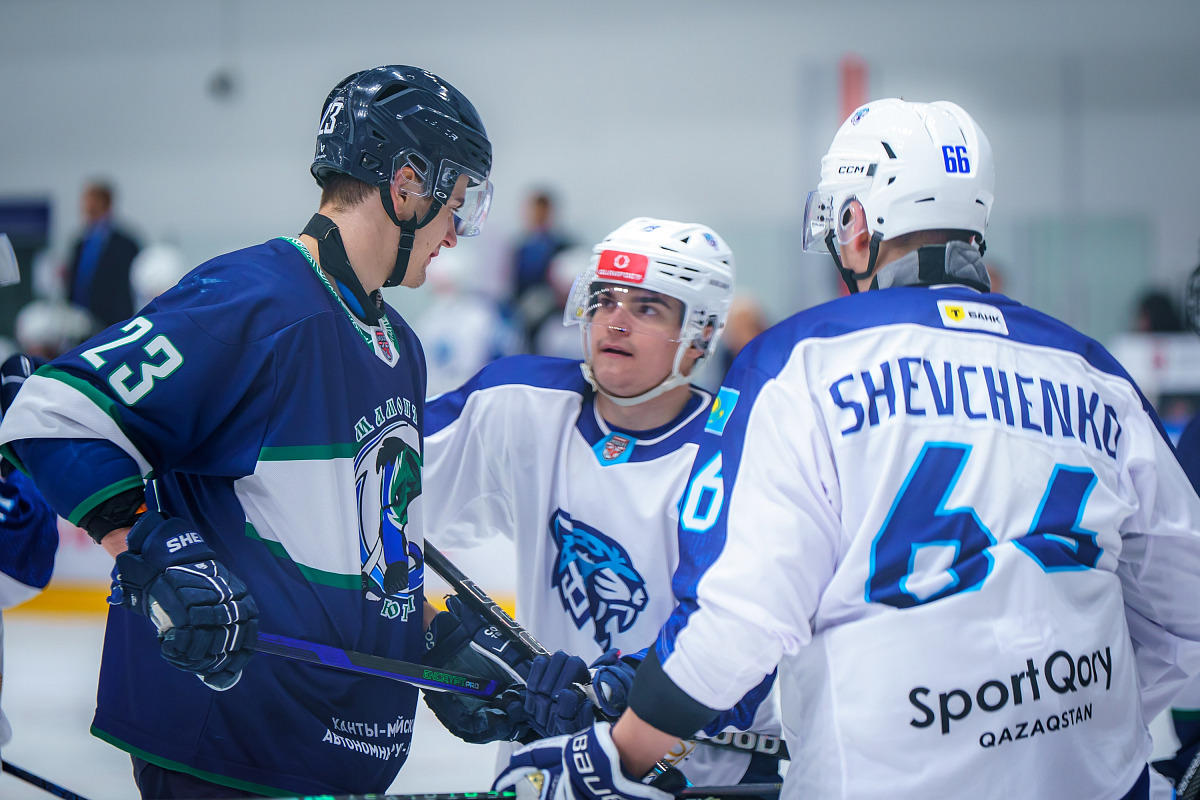 Дикті қайда қою керектігі туралы бейне