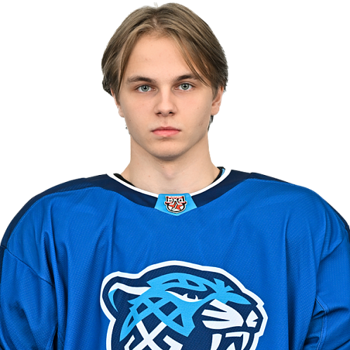 НИКИТА СИТНИКОВ