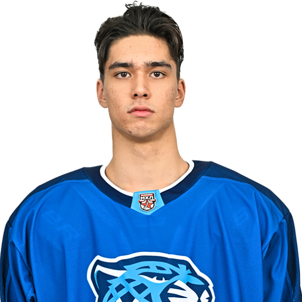 МСТИСЛАВ ШИПИЛИН