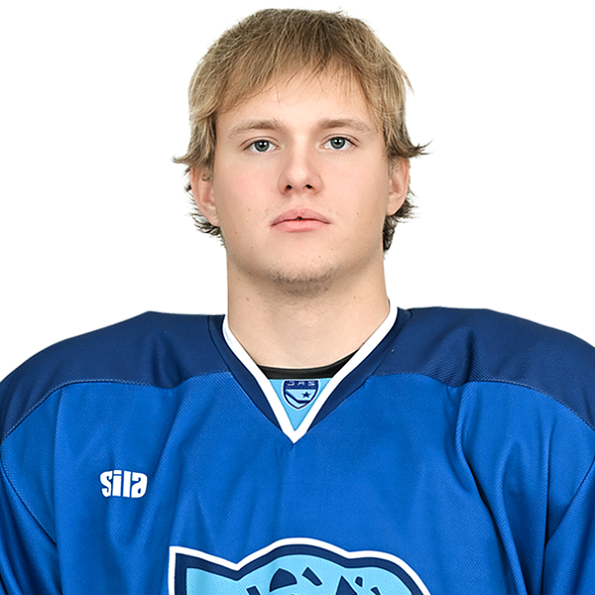 РОМАН МИЧУРОВ