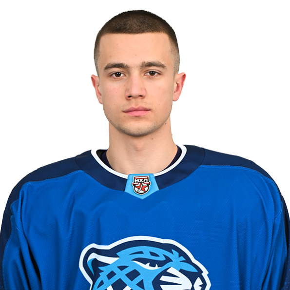 НИКИТА МЕРЗЛИКИН