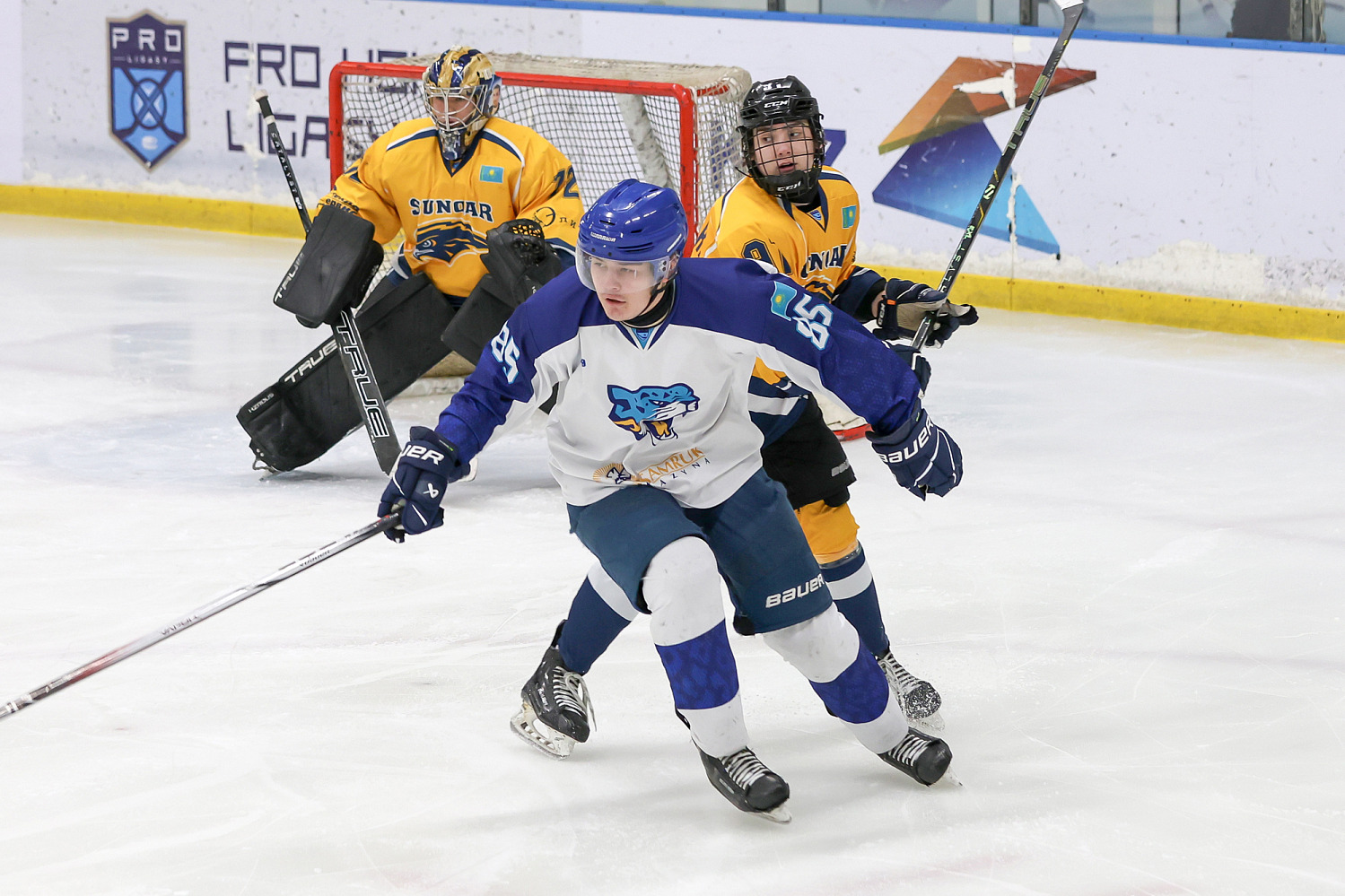 Сункар - Барыс