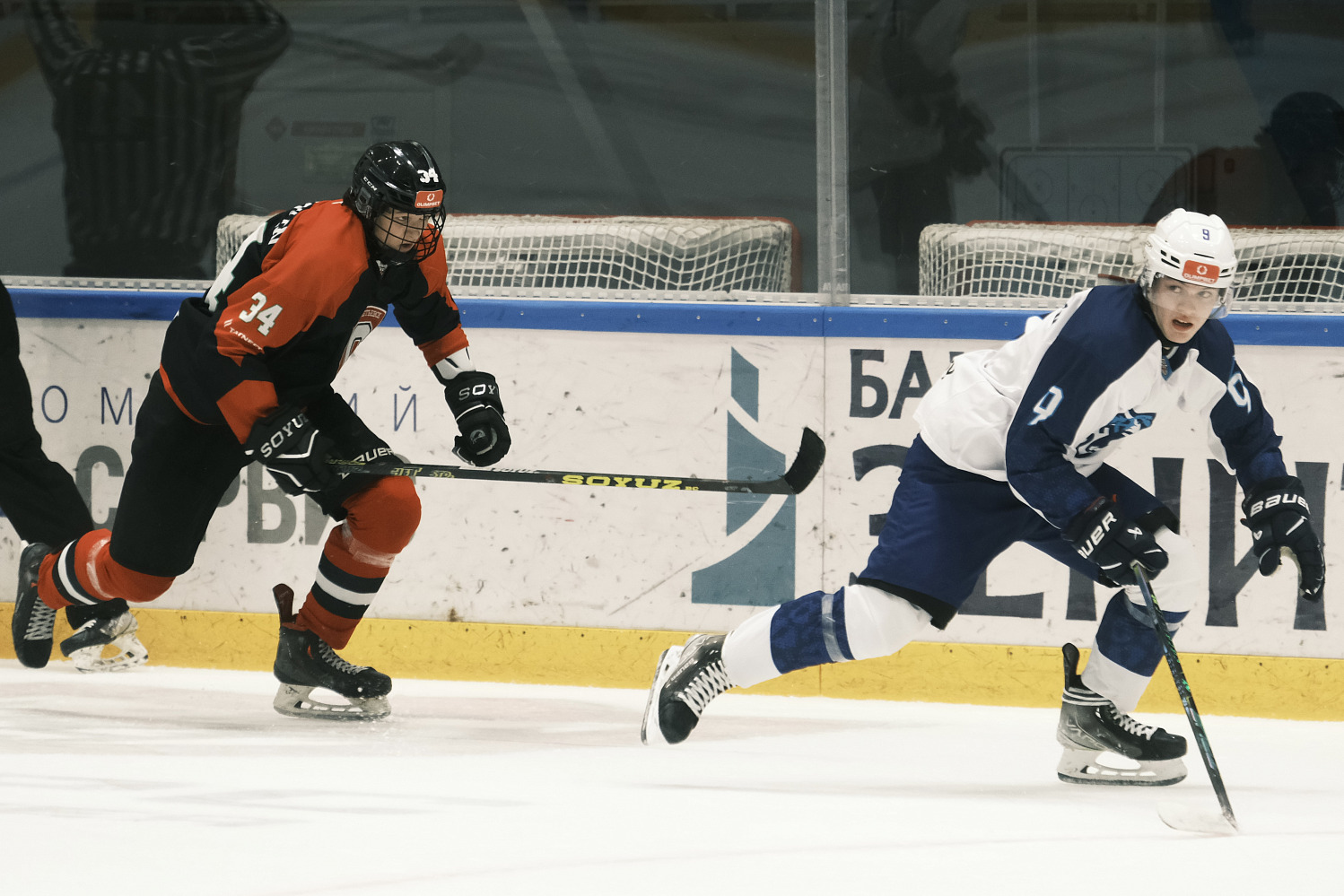 Спутник АЛ - Снежные Барсы