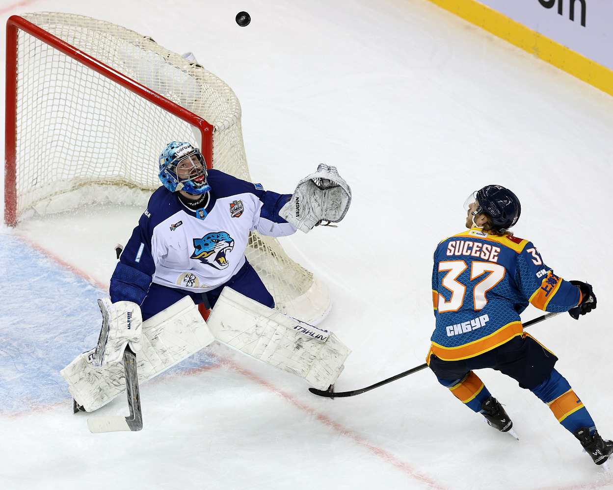 Драконы - Барыс