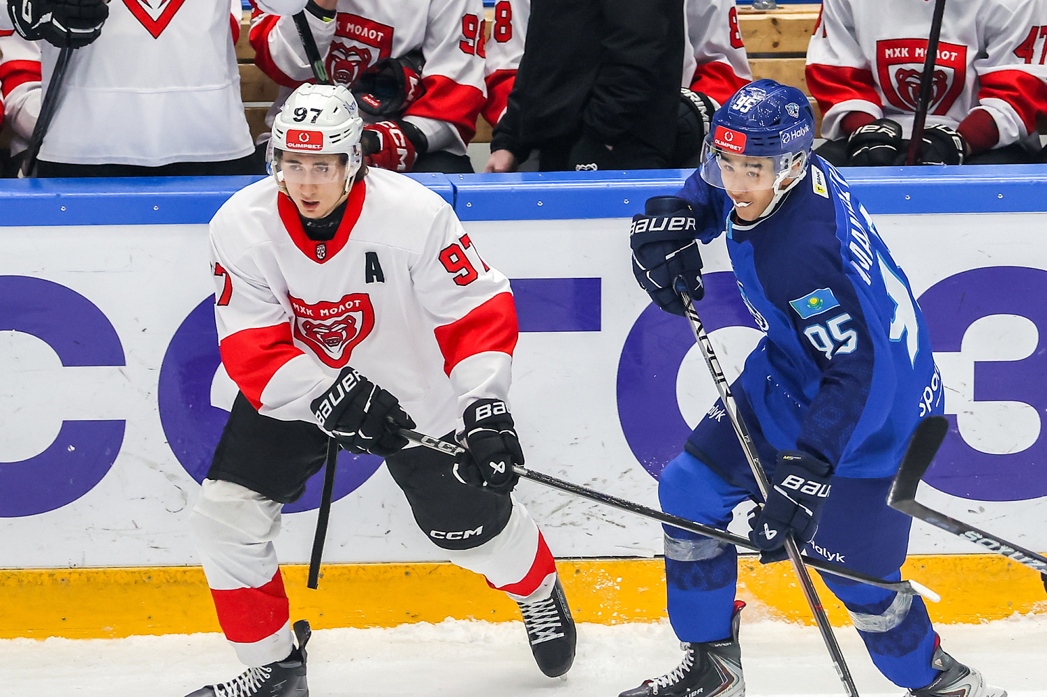 Снежные Барсы - МХК Молот