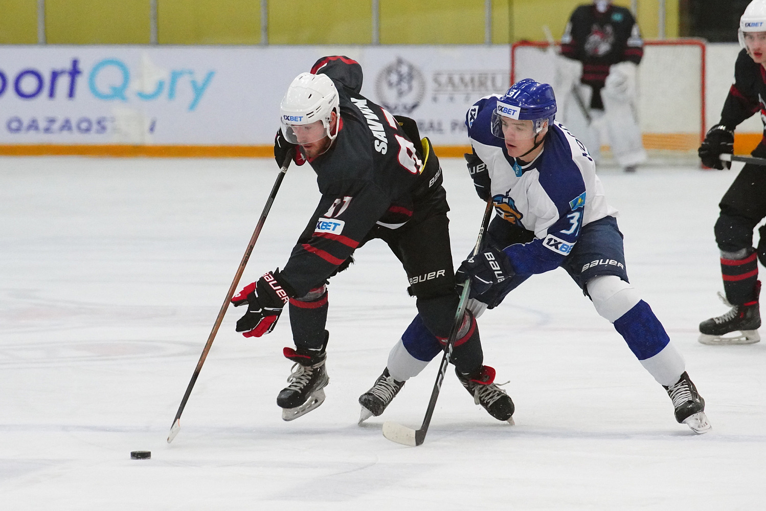 Горняк - Номад