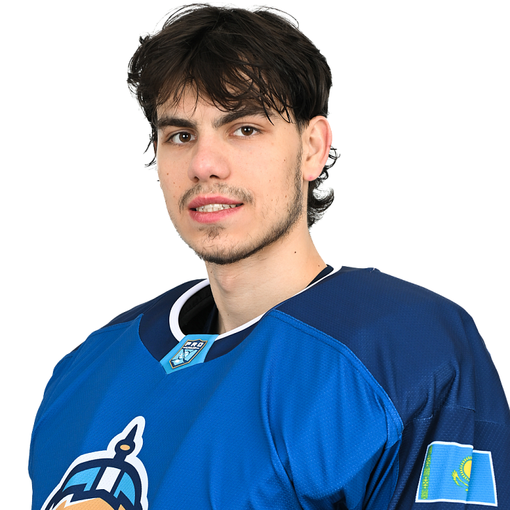 ВЛАДИМИР НИКИТИН