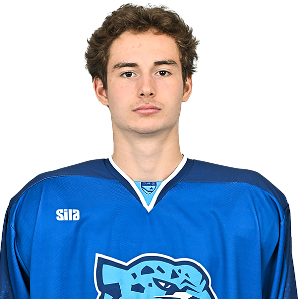 ДАНИИЛ ТОЛСТУНОВ