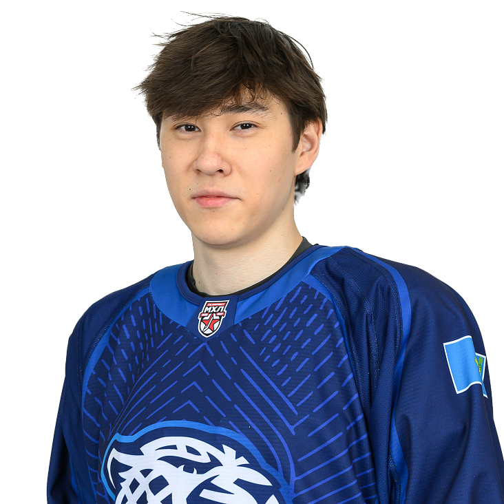 АМИР АЛПКАРИН