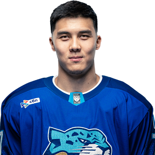 АНСАР ШАЙХМЕДДЕНОВ