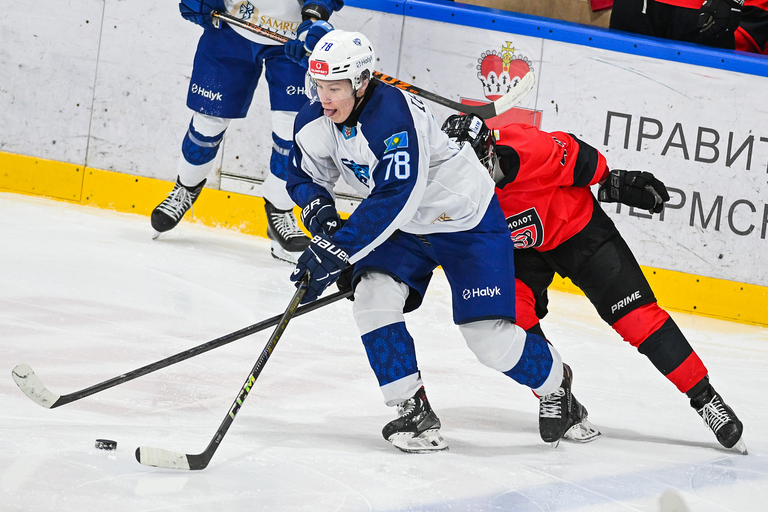 МХК Молот - Снежные Барсы