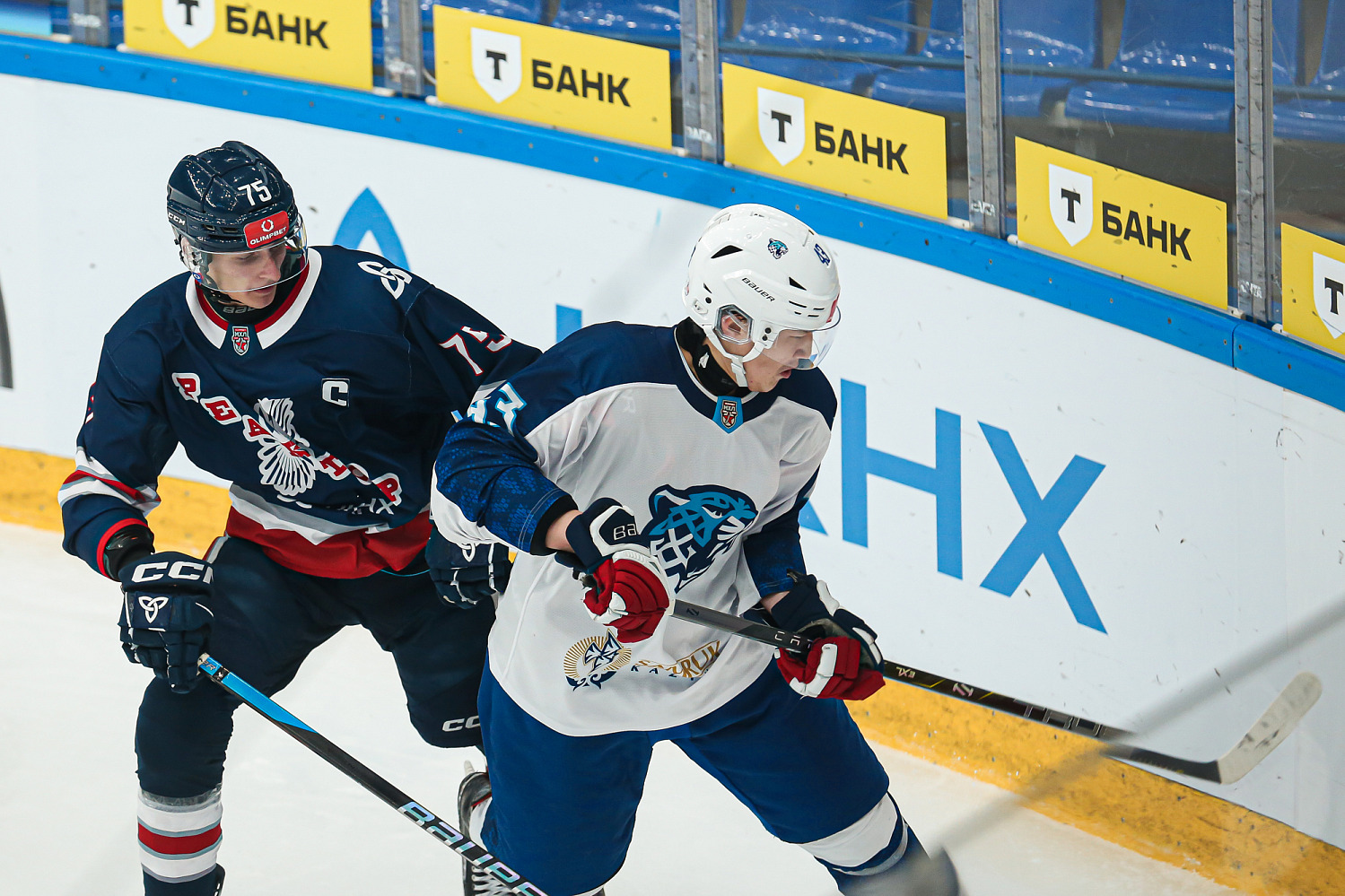 Реактор - Снежные Барсы