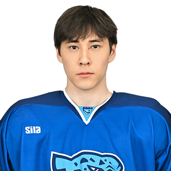 АМИР АЛПКАРИН