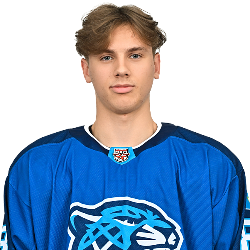 РОМАН ДВУРЕЧЕНСКИЙ